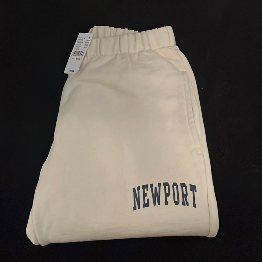 Brand new brandy Melville sweat pants with tags